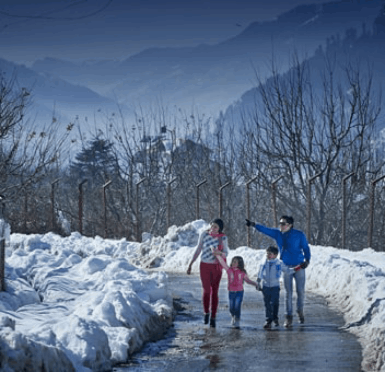 himachal tour package from chennai