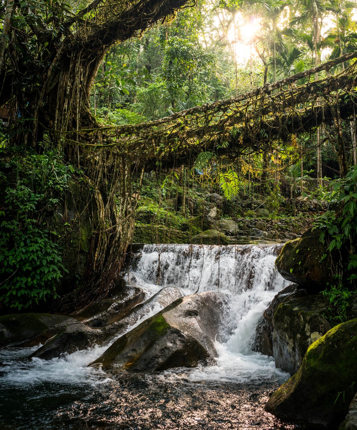 Guwahati-Shillong-and-Cherrapunji-1