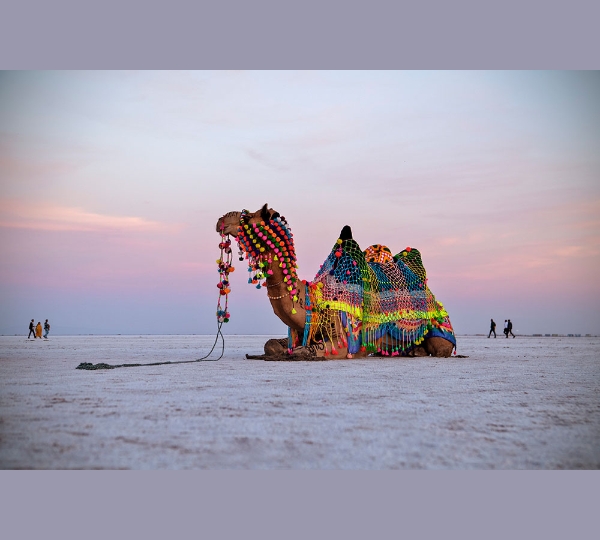 Rann of Kutch Tour Package from Bangalore – Explore the White Desert and Vibrant Kutch Culture