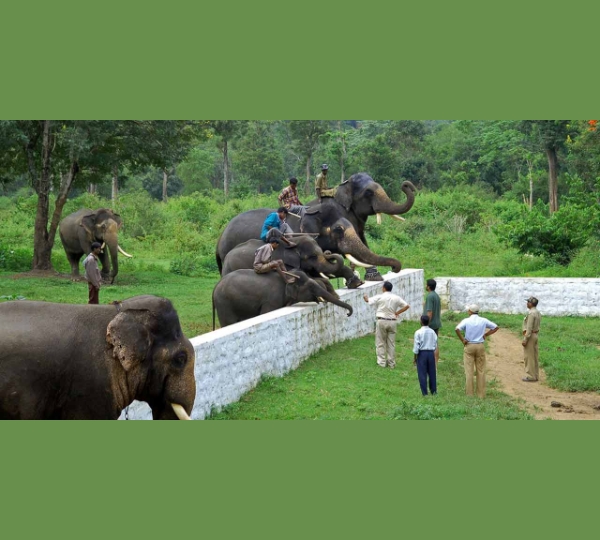 Dubare Elephant Camp