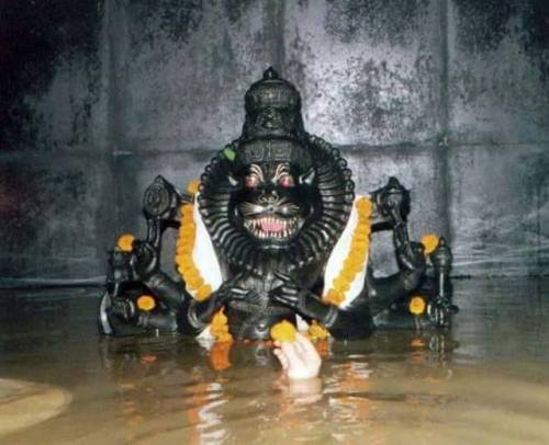 Book a 2 Days 1 Night Chennai to Bidar Narasimha Swamy Temple tour by flight with Vasantkamal Tours. Includes flights, darshan, comfortable stays, and smooth transfers for a peaceful spiritual journey.