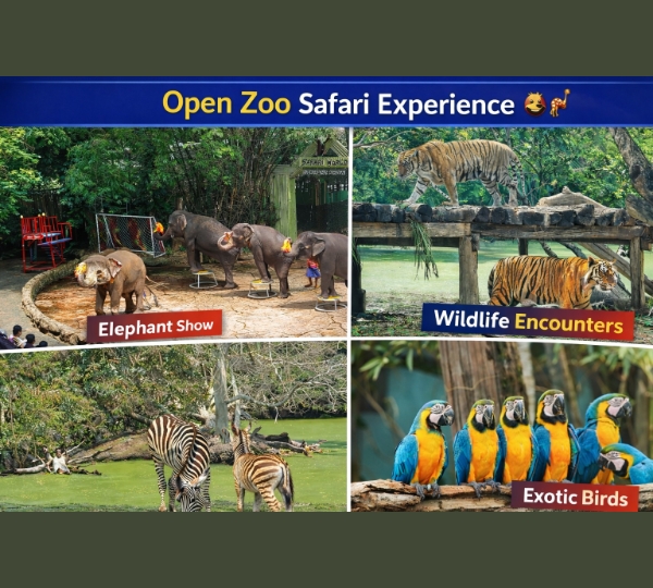 Bangkok - Fun-filled Wildlife Encounters