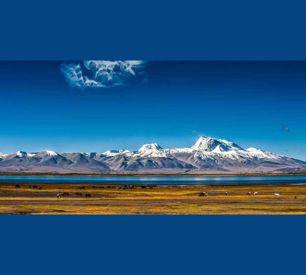 ✨ Spiritual Energy of Manasarovar Yatra