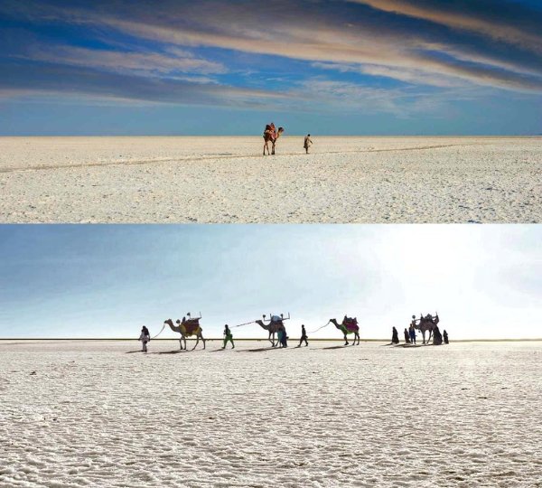 Rann of Kutch Tour Package from Mysore – White Rann, Gujarat